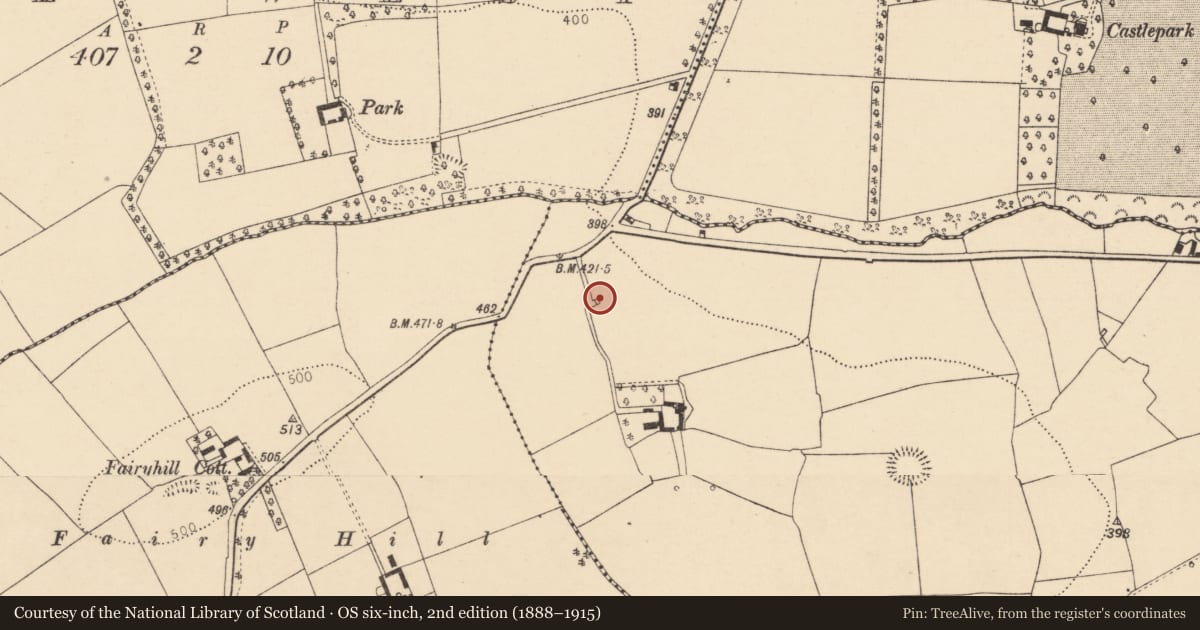 Ordnance Survey six-inch map, 2nd edition (1888–1915) covering the location of Kiln - lime, Dromalour, County Cork, with a pin at the register's coordinates