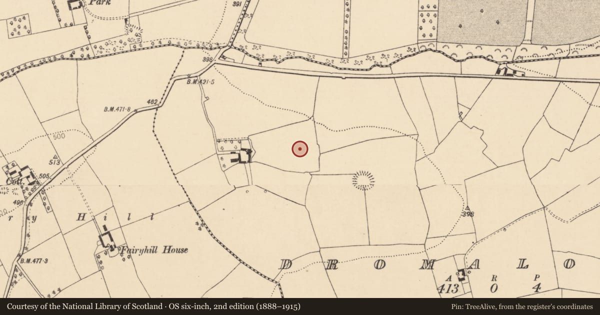 Ordnance Survey six-inch map, 2nd edition (1888–1915) covering the location of Standing stone, Dromalour, County Cork, with a pin at the register's coordinates