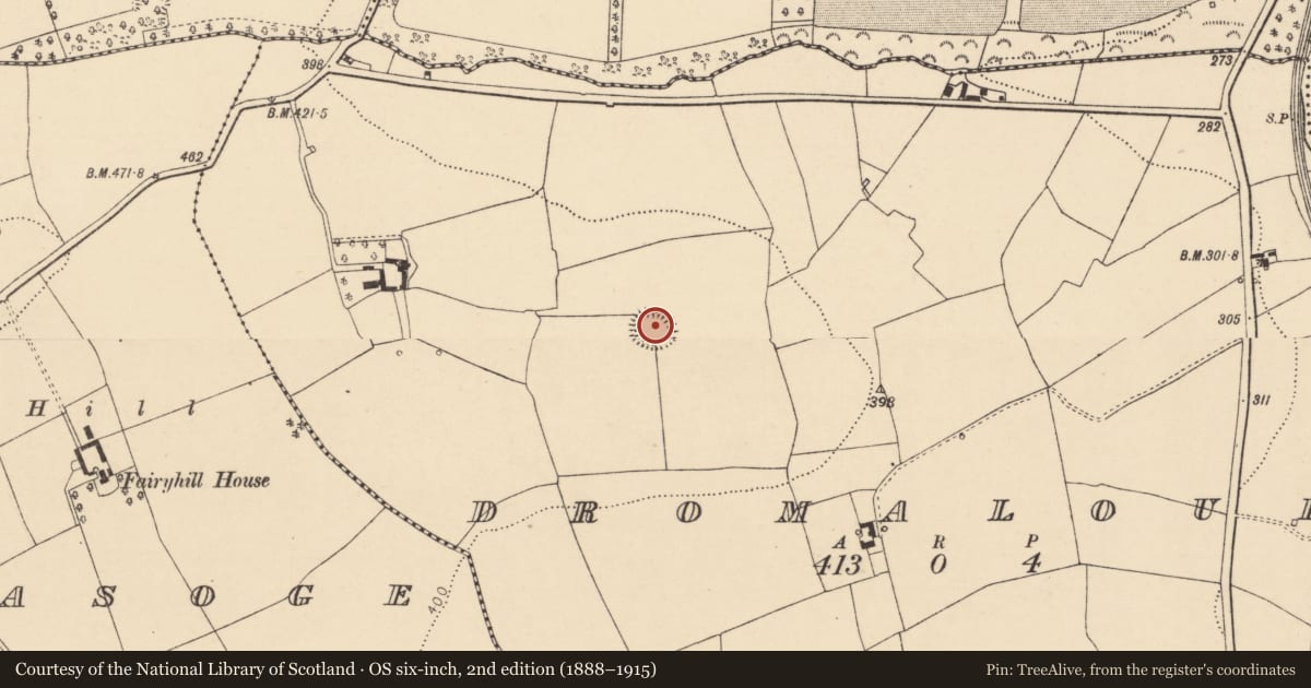 Ordnance Survey six-inch map, 2nd edition (1888–1915) covering the location of Ringfort - rath, Dromalour, County Cork, with a pin at the register's coordinates