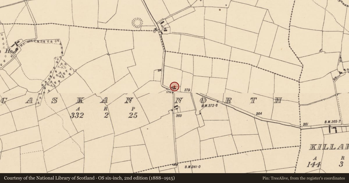 Ordnance Survey six-inch map, 2nd edition (1888–1915) covering the location of House - vernacular house, Kilcaskan North, County Cork, with a pin at the register's coordinates