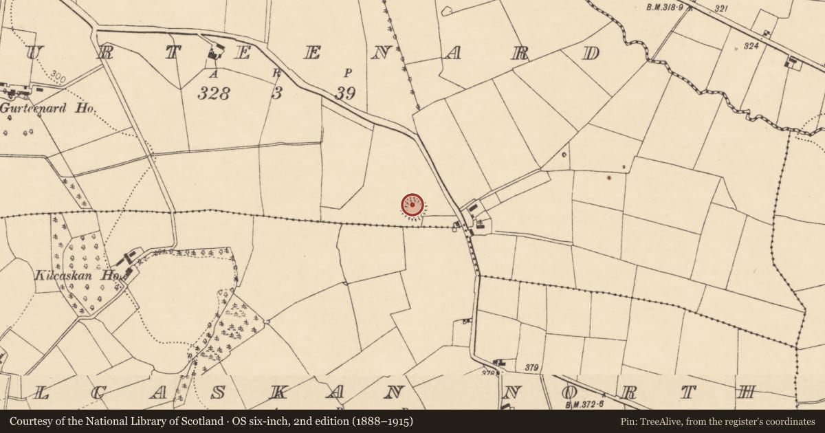 Ordnance Survey six-inch map, 2nd edition (1888–1915) covering the location of Ringfort - rath, Gurteenard, County Cork, with a pin at the register's coordinates