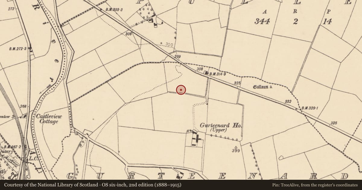 Ordnance Survey six-inch map, 2nd edition (1888–1915) covering the location of Fulacht fia, Gurteenard, County Cork, with a pin at the register's coordinates