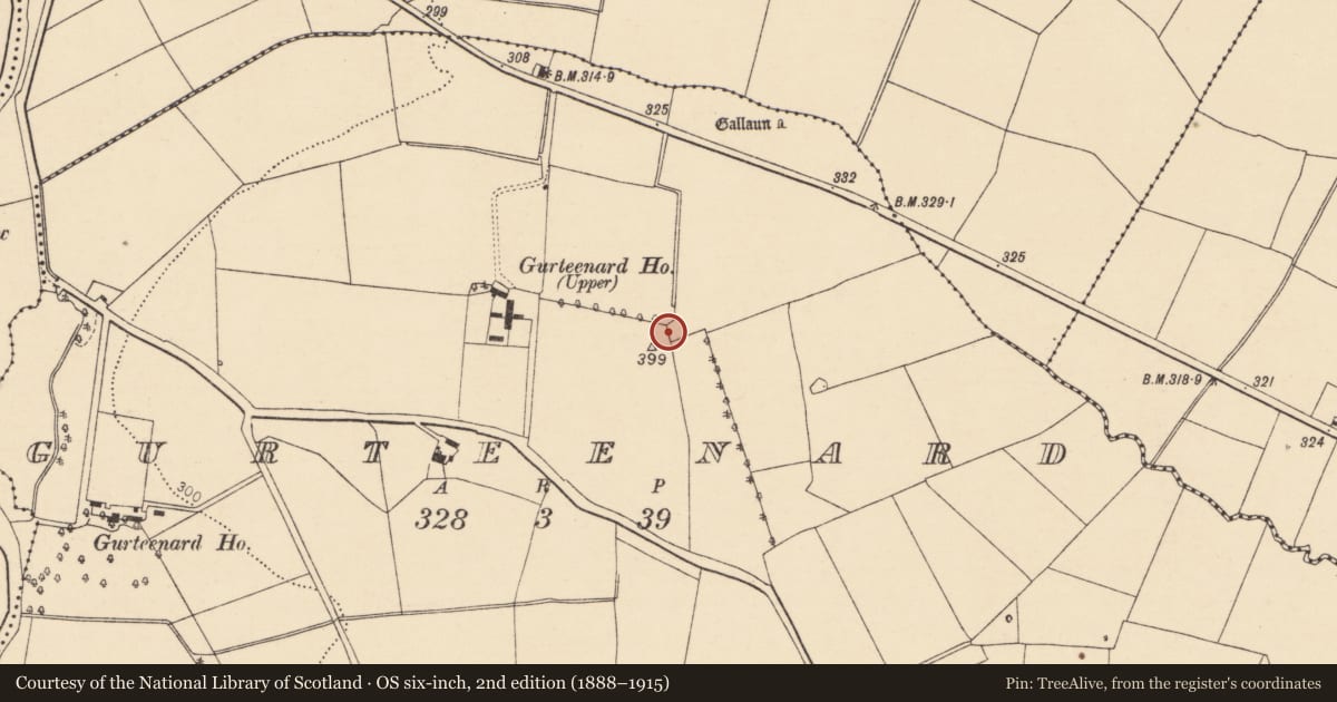 Ordnance Survey six-inch map, 2nd edition (1888–1915) covering the location of Ringfort - rath, Gurteenard, County Cork, with a pin at the register's coordinates