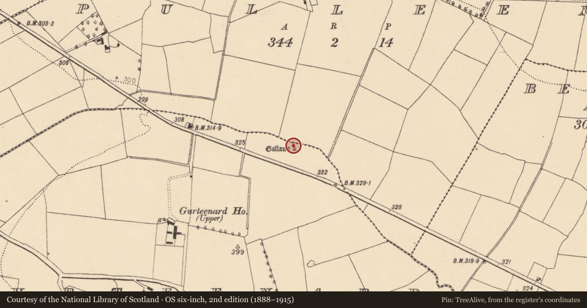 Ordnance Survey six-inch map, 2nd edition (1888–1915) covering the location of Standing stone - pair, Gurteenard, County Cork, with a pin at the register's coordinates