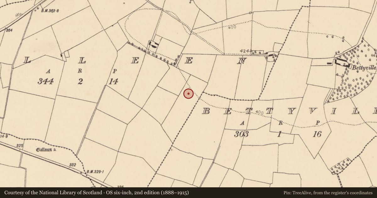 Ordnance Survey six-inch map, 2nd edition (1888–1915) covering the location of Fulacht fia, Pulleen, County Cork, with a pin at the register's coordinates