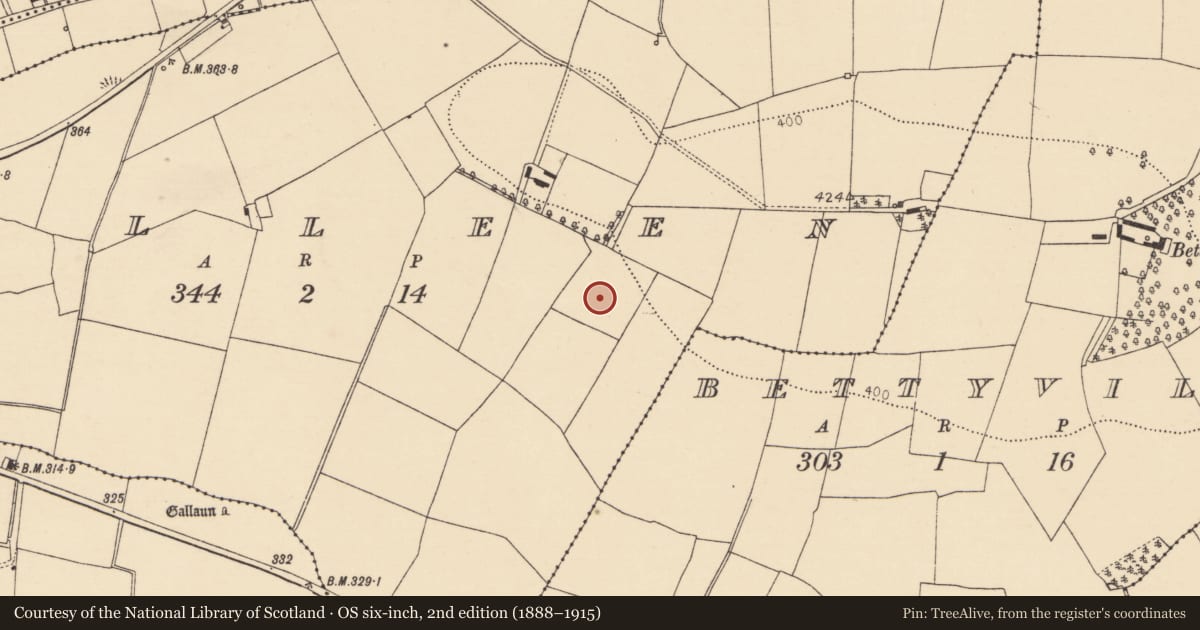 Ordnance Survey six-inch map, 2nd edition (1888–1915) covering the location of Fulacht fia, Pulleen, County Cork, with a pin at the register's coordinates