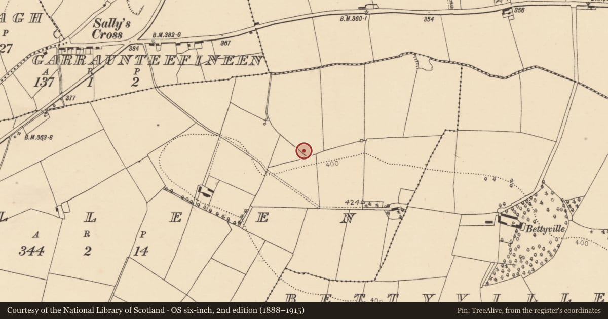 Ordnance Survey six-inch map, 2nd edition (1888–1915) covering the location of Fulacht fia, Pulleen, County Cork, with a pin at the register's coordinates