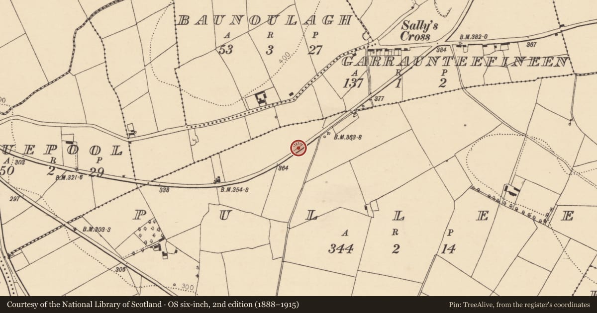 Ordnance Survey six-inch map, 2nd edition (1888–1915) covering the location of Quarry, Pulleen, County Cork, with a pin at the register's coordinates