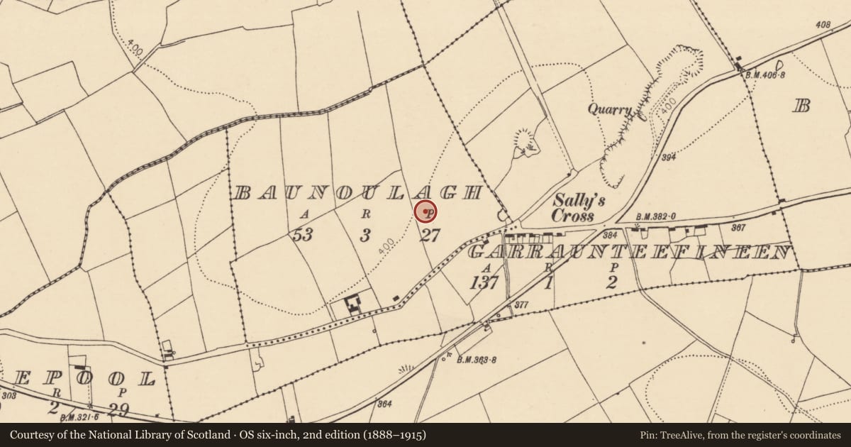 Ordnance Survey six-inch map, 2nd edition (1888–1915) covering the location of Ringfort - rath, Baunoulagh, County Cork, with a pin at the register's coordinates
