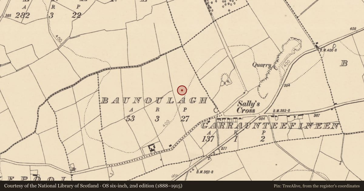 Ordnance Survey six-inch map, 2nd edition (1888–1915) covering the location of Ringfort - rath, Baunoulagh, County Cork, with a pin at the register's coordinates