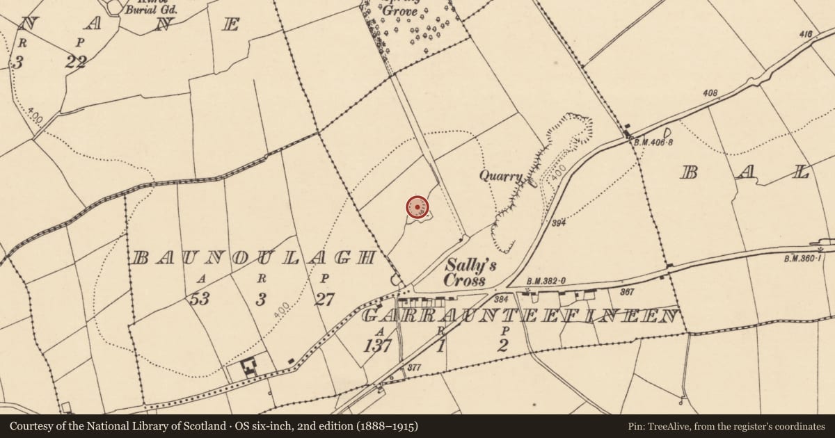 Ordnance Survey six-inch map, 2nd edition (1888–1915) covering the location of Enclosure, Garraunteefineen, County Cork, with a pin at the register's coordinates