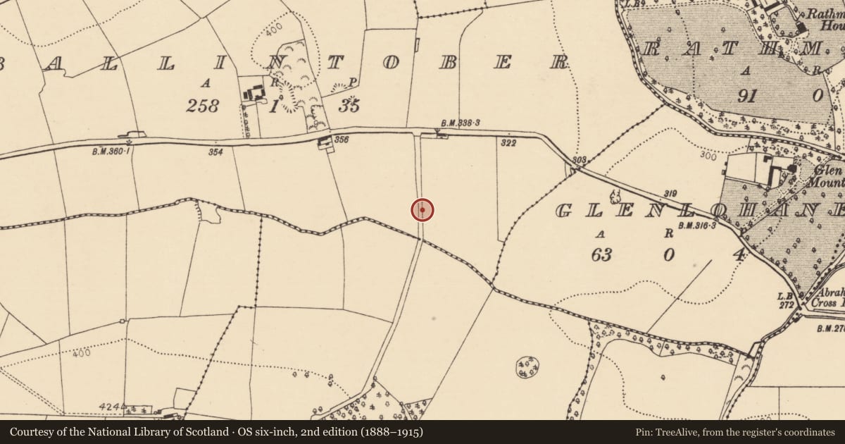 Ordnance Survey six-inch map, 2nd edition (1888–1915) covering the location of Ringfort - rath, Ballintober, County Cork, with a pin at the register's coordinates