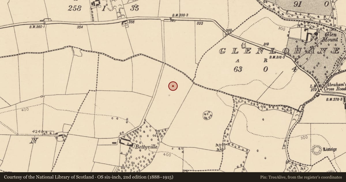 Ordnance Survey six-inch map, 2nd edition (1888–1915) covering the location of Ringfort - rath, Bettyville, County Cork, with a pin at the register's coordinates