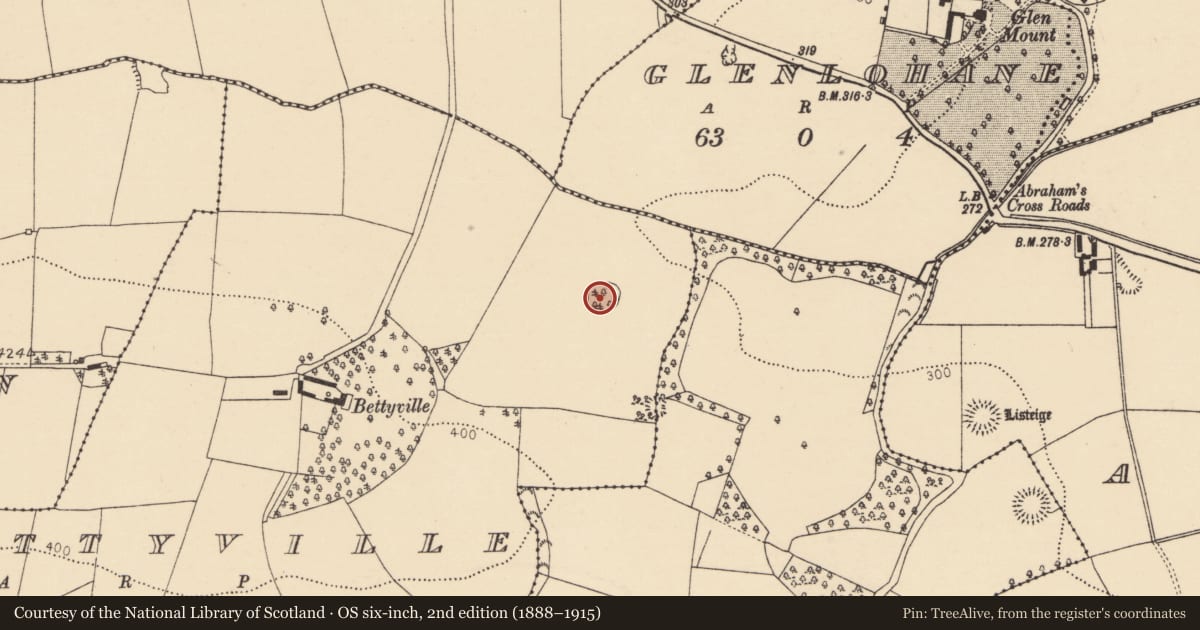 Ordnance Survey six-inch map, 2nd edition (1888–1915) covering the location of Ringfort - rath, Bettyville, County Cork, with a pin at the register's coordinates