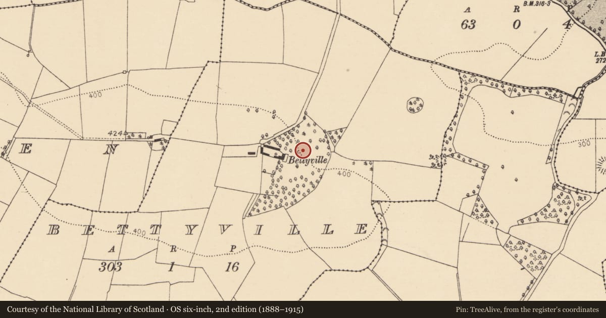 Ordnance Survey six-inch map, 2nd edition (1888–1915) covering the location of Fulacht fia, Bettyville, County Cork, with a pin at the register's coordinates