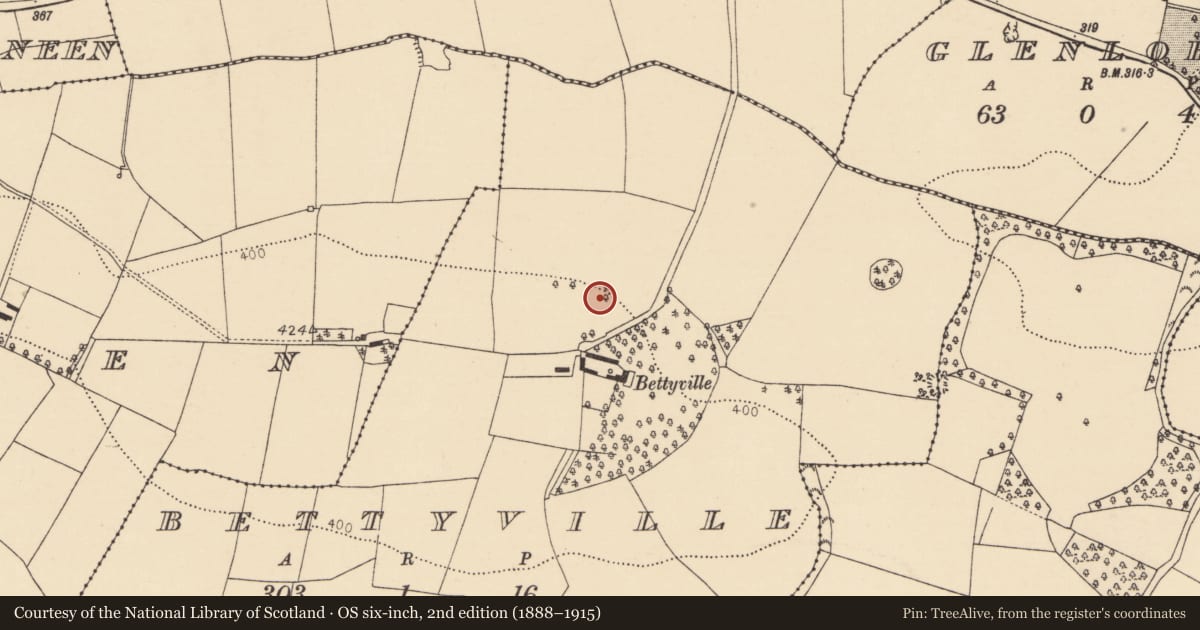 Ordnance Survey six-inch map, 2nd edition (1888–1915) covering the location of Enclosure, Bettyville, County Cork, with a pin at the register's coordinates