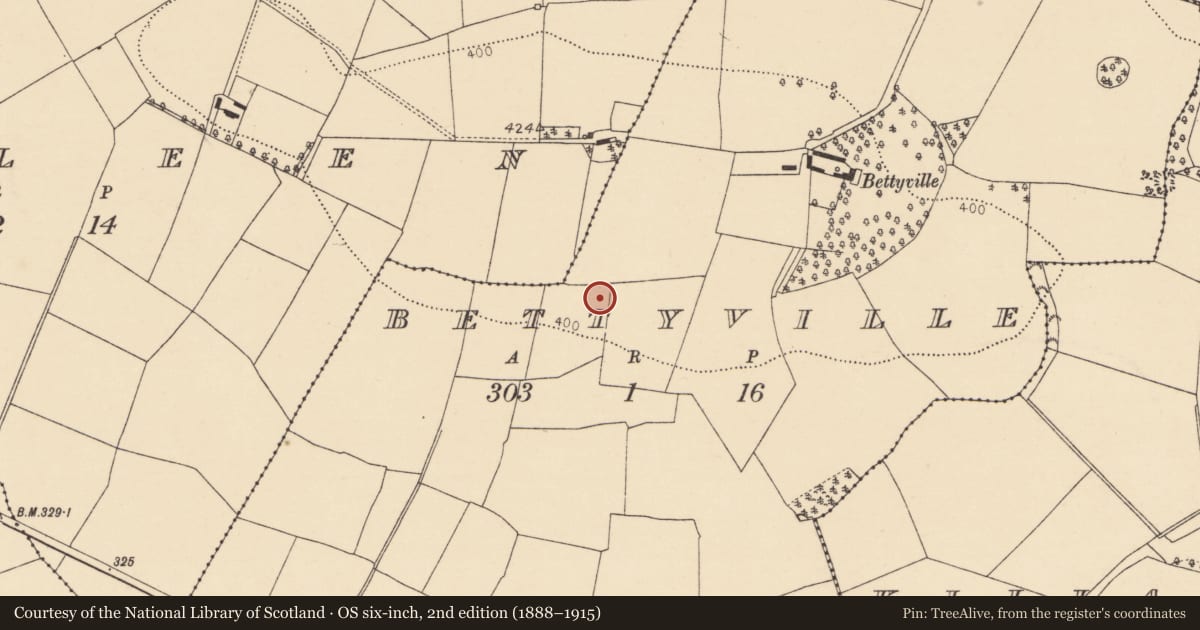 Ordnance Survey six-inch map, 2nd edition (1888–1915) covering the location of Fulacht fia, Bettyville, County Cork, with a pin at the register's coordinates