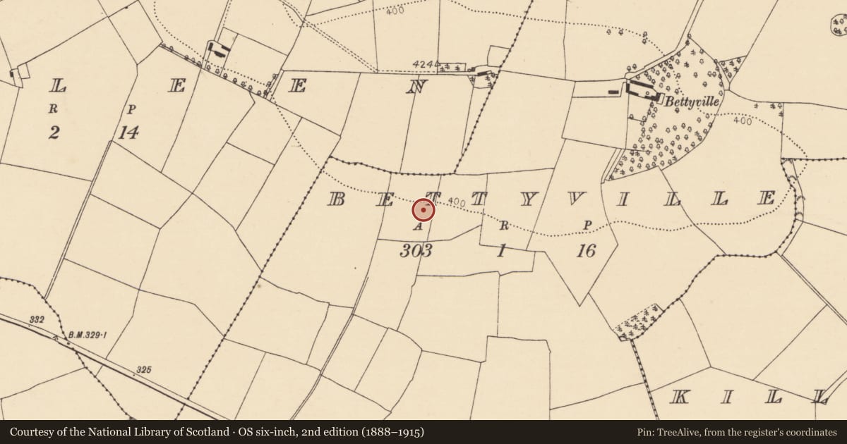 Ordnance Survey six-inch map, 2nd edition (1888–1915) covering the location of Fulacht fia, Bettyville, County Cork, with a pin at the register's coordinates
