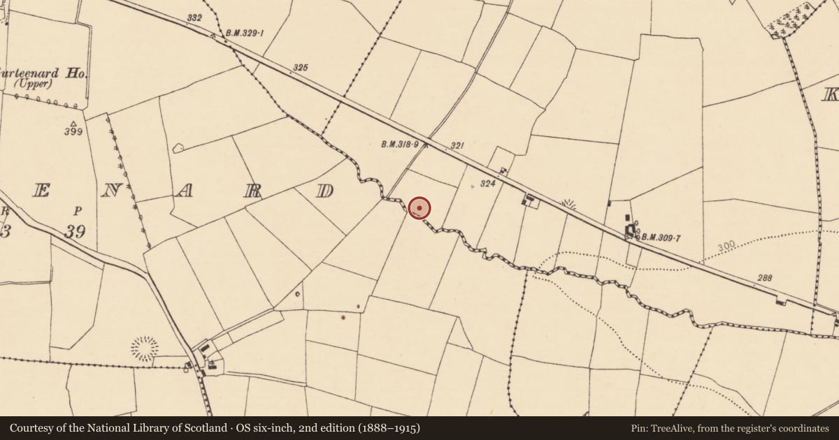 Ordnance Survey six-inch map, 2nd edition (1888–1915) covering the location of Fulacht fia, Bettyville, County Cork, with a pin at the register's coordinates