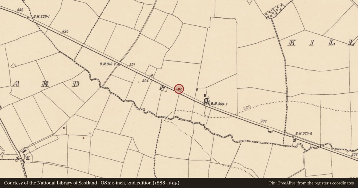 Ordnance Survey six-inch map, 2nd edition (1888–1915) covering the location of Ringfort - rath, Bettyville, County Cork, with a pin at the register's coordinates