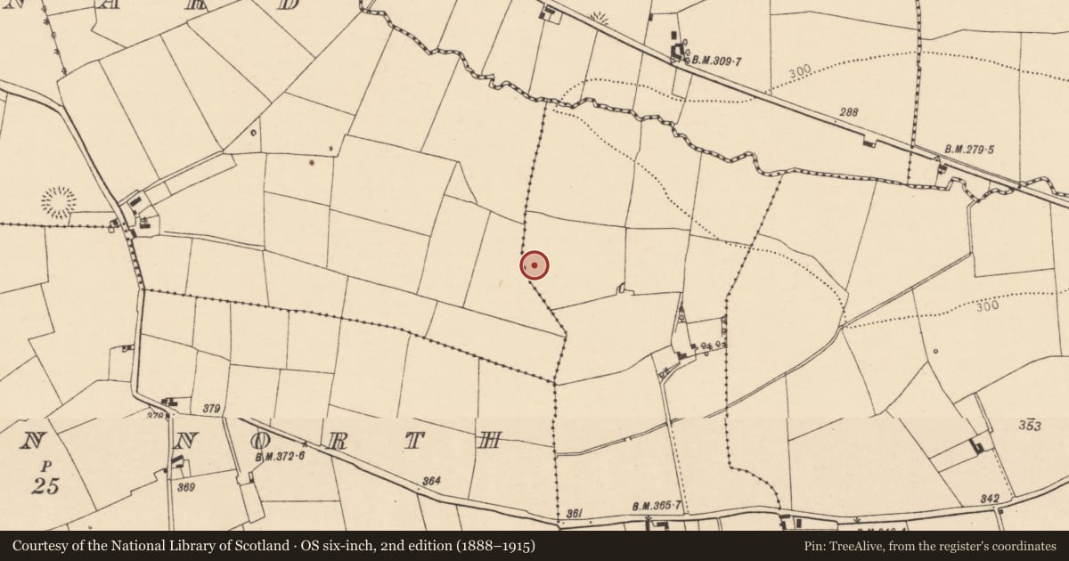 Ordnance Survey six-inch map, 2nd edition (1888–1915) covering the location of Ringfort - rath, Killarush, County Cork, with a pin at the register's coordinates