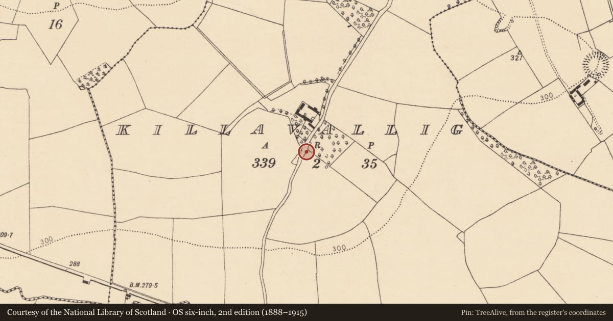 Ordnance Survey six-inch map, 2nd edition (1888–1915) covering the location of Ecclesiastical enclosure, Killavallig, County Cork, with a pin at the register's coordinates