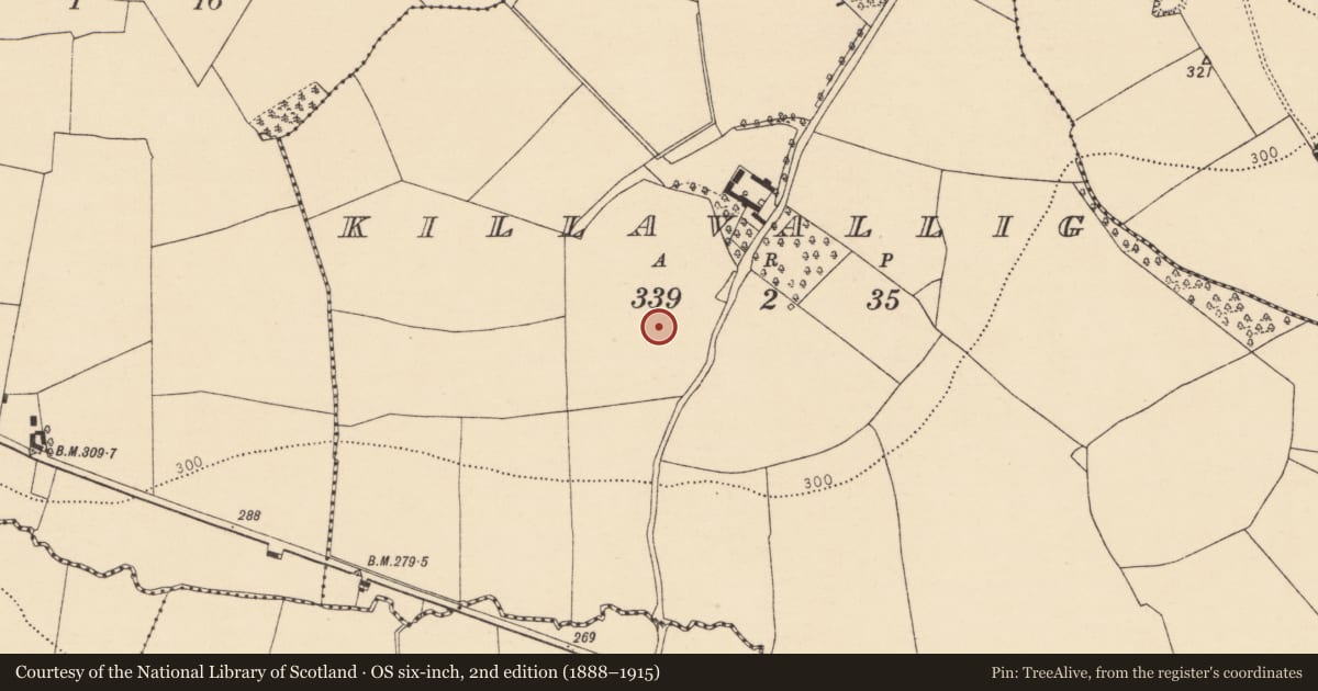 Ordnance Survey six-inch map, 2nd edition (1888–1915) covering the location of Ringfort - rath, Killavallig, County Cork, with a pin at the register's coordinates
