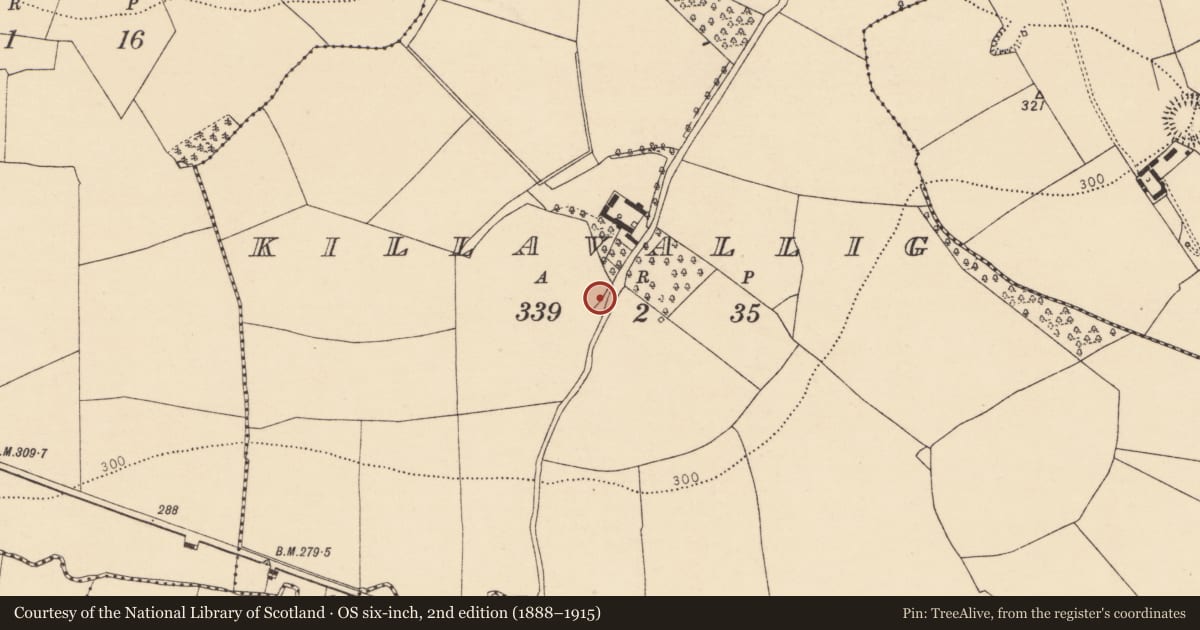 Ordnance Survey six-inch map, 2nd edition (1888–1915) covering the location of Church, Killavallig, County Cork, with a pin at the register's coordinates