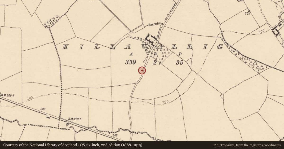 Ordnance Survey six-inch map, 2nd edition (1888–1915) covering the location of Ringfort - rath, Killavallig, County Cork, with a pin at the register's coordinates
