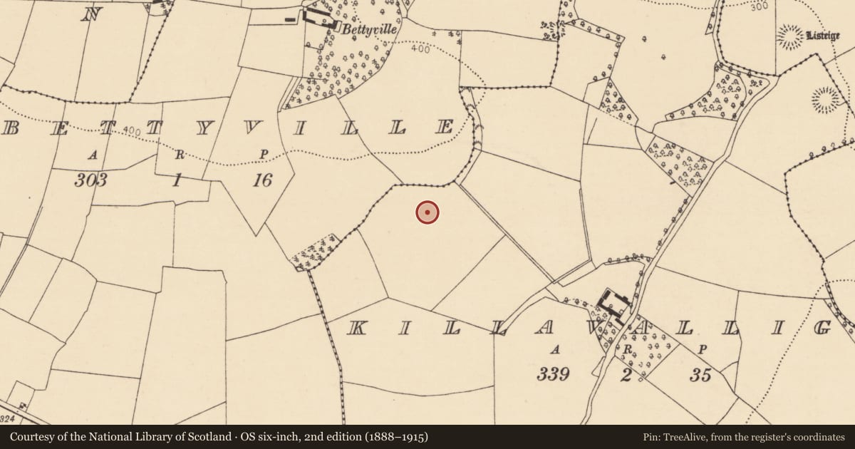 Ordnance Survey six-inch map, 2nd edition (1888–1915) covering the location of Fulacht fia, Killavallig, County Cork, with a pin at the register's coordinates