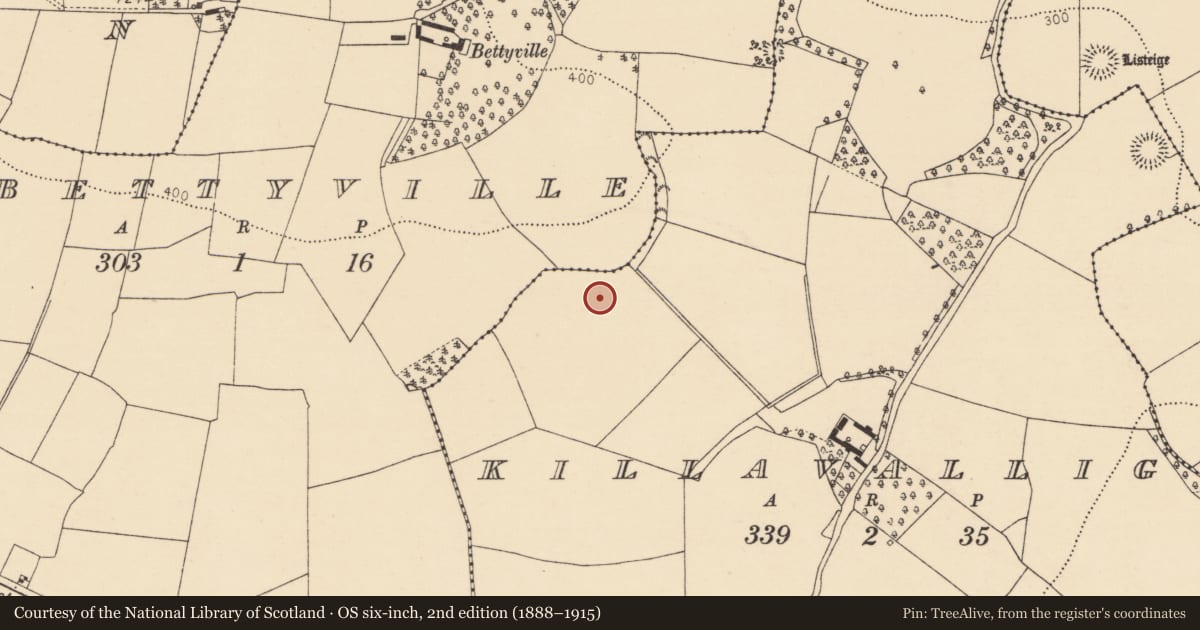 Ordnance Survey six-inch map, 2nd edition (1888–1915) covering the location of Fulacht fia, Killavallig, County Cork, with a pin at the register's coordinates