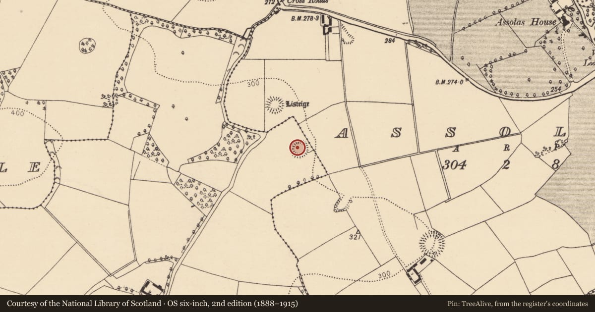 Ordnance Survey six-inch map, 2nd edition (1888–1915) covering the location of Ringfort - rath, Killavallig, County Cork, with a pin at the register's coordinates