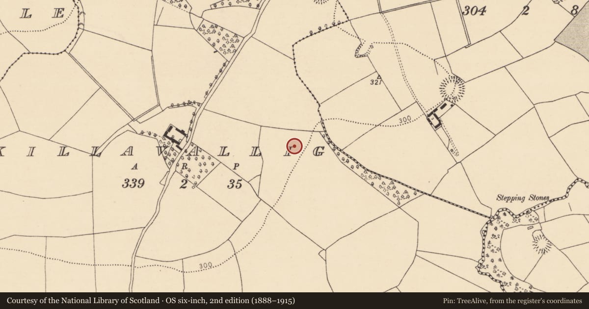 Ordnance Survey six-inch map, 2nd edition (1888–1915) covering the location of Fulacht fia, Killavallig, County Cork, with a pin at the register's coordinates