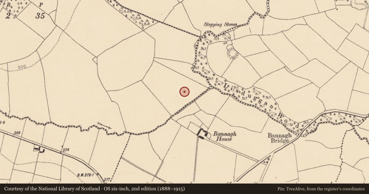 Ordnance Survey six-inch map, 2nd edition (1888–1915) covering the location of Fulacht fia, Killavallig, County Cork, with a pin at the register's coordinates