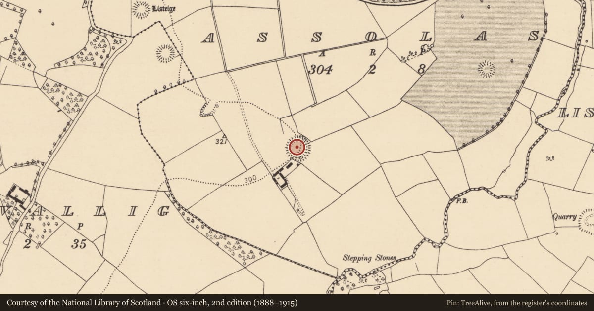 Ordnance Survey six-inch map, 2nd edition (1888–1915) covering the location of Ringfort - rath, Assolas, County Cork, with a pin at the register's coordinates