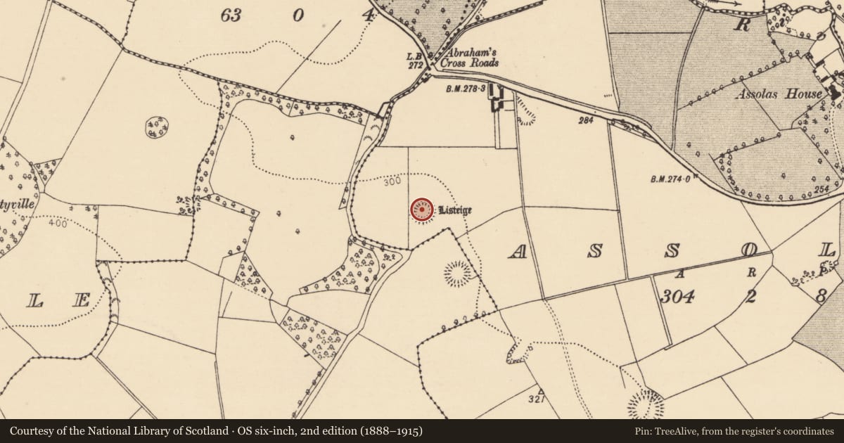 Ordnance Survey six-inch map, 2nd edition (1888–1915) covering the location of Ringfort - rath, Assolas, County Cork, with a pin at the register's coordinates