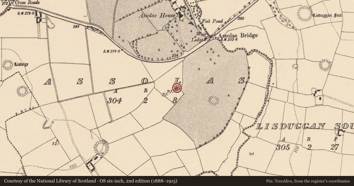 Ordnance Survey six-inch map, 2nd edition (1888–1915) covering the location of Quarry, Assolas, County Cork, with a pin at the register's coordinates