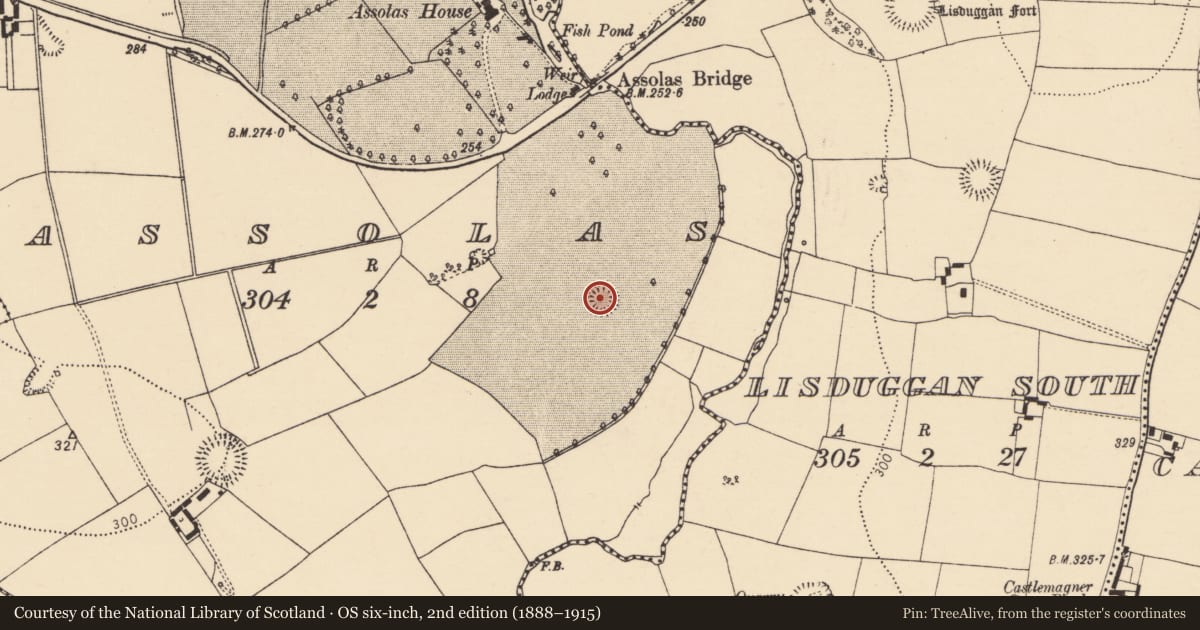 Ordnance Survey six-inch map, 2nd edition (1888–1915) covering the location of Ringfort - rath, Assolas, County Cork, with a pin at the register's coordinates