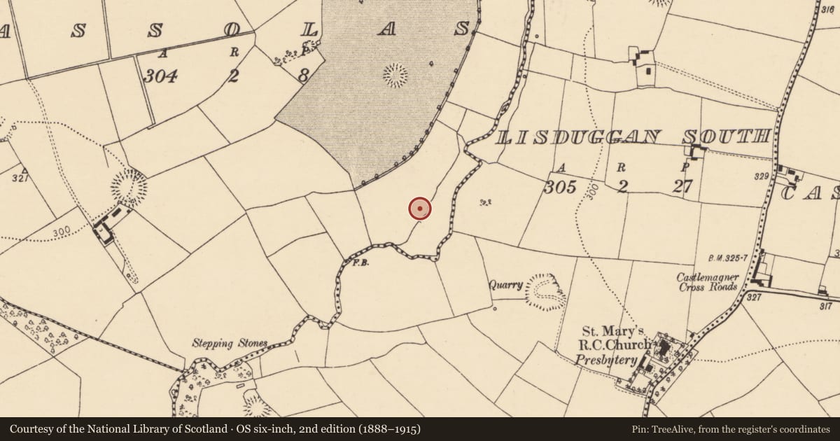 Ordnance Survey six-inch map, 2nd edition (1888–1915) covering the location of Fulacht fia, Assolas, County Cork, with a pin at the register's coordinates