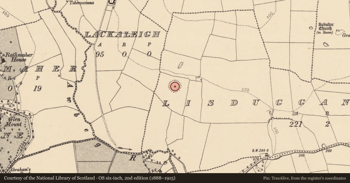 Ordnance Survey six-inch map, 2nd edition (1888–1915) covering the location of Ringfort - rath, Lisduggan North, County Cork, with a pin at the register's coordinates