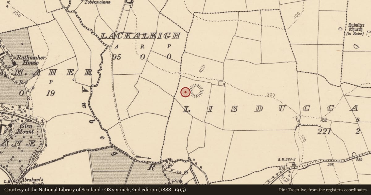 Ordnance Survey six-inch map, 2nd edition (1888–1915) covering the location of Field system, Lisduggan North, County Cork, with a pin at the register's coordinates