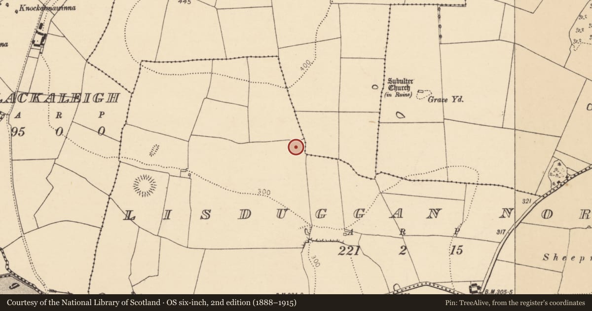 Ordnance Survey six-inch map, 2nd edition (1888–1915) covering the location of Ringfort - rath, Lisduggan North, County Cork, with a pin at the register's coordinates