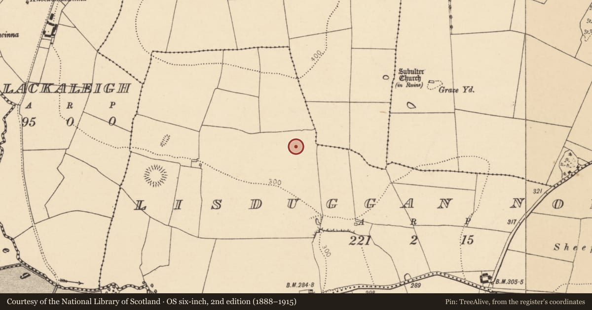Ordnance Survey six-inch map, 2nd edition (1888–1915) covering the location of Ringfort - rath, Lisduggan North, County Cork, with a pin at the register's coordinates