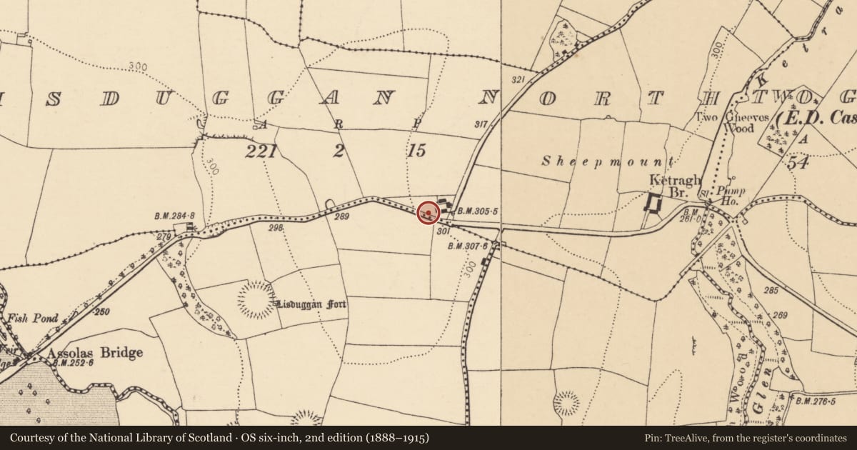 Ordnance Survey six-inch map, 2nd edition (1888–1915) covering the location of House - vernacular house, Lisduggan North, County Cork, with a pin at the register's coordinates