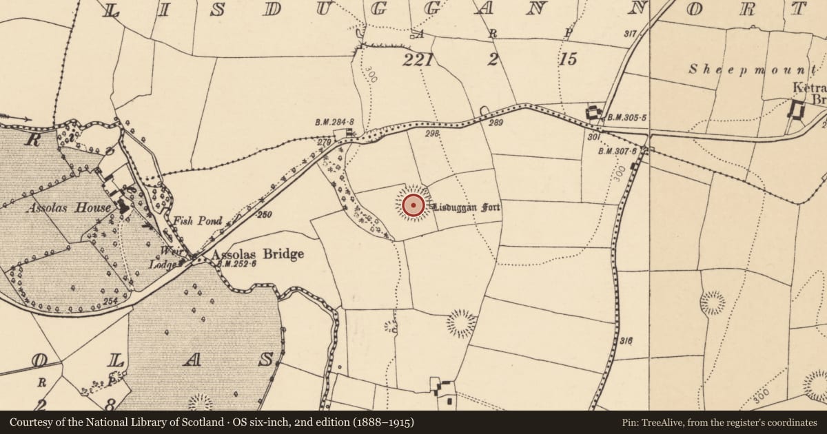Ordnance Survey six-inch map, 2nd edition (1888–1915) covering the location of Ringfort - rath, Lisduggan South, County Cork, with a pin at the register's coordinates