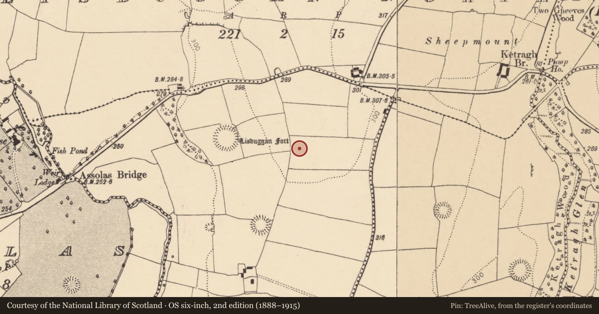 Ordnance Survey six-inch map, 2nd edition (1888–1915) covering the location of Fulacht fia, Lisduggan South, County Cork, with a pin at the register's coordinates