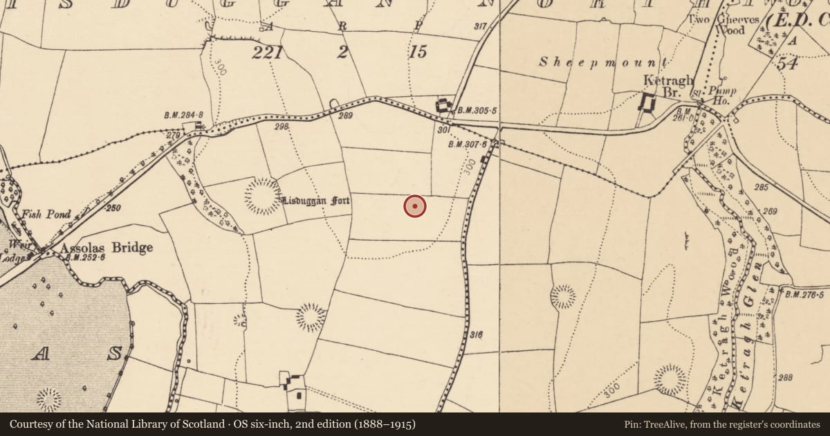 Ordnance Survey six-inch map, 2nd edition (1888–1915) covering the location of Fulacht fia, Lisduggan South, County Cork, with a pin at the register's coordinates