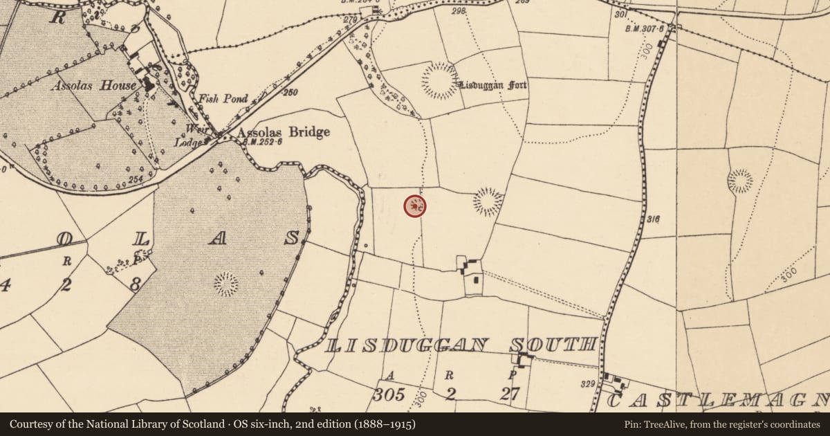 Ordnance Survey six-inch map, 2nd edition (1888–1915) covering the location of Kiln - lime, Lisduggan South, County Cork, with a pin at the register's coordinates