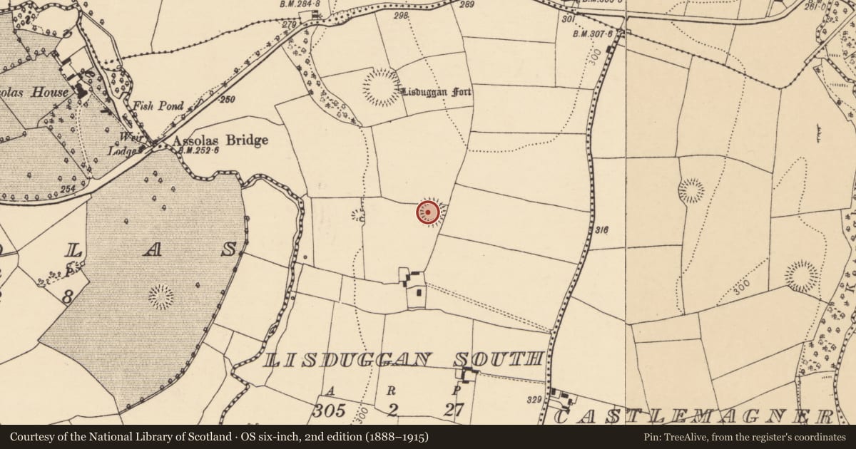 Ordnance Survey six-inch map, 2nd edition (1888–1915) covering the location of Ringfort - rath, Lisduggan South, County Cork, with a pin at the register's coordinates