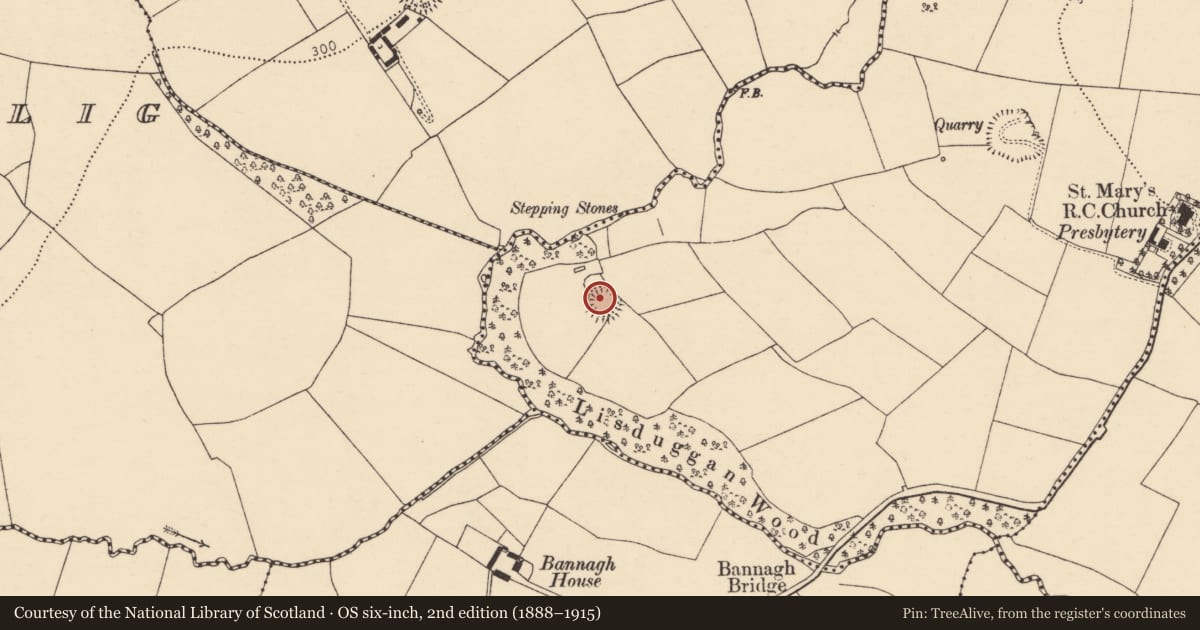 Ordnance Survey six-inch map, 2nd edition (1888–1915) covering the location of Ringfort - rath, Lisduggan South, County Cork, with a pin at the register's coordinates